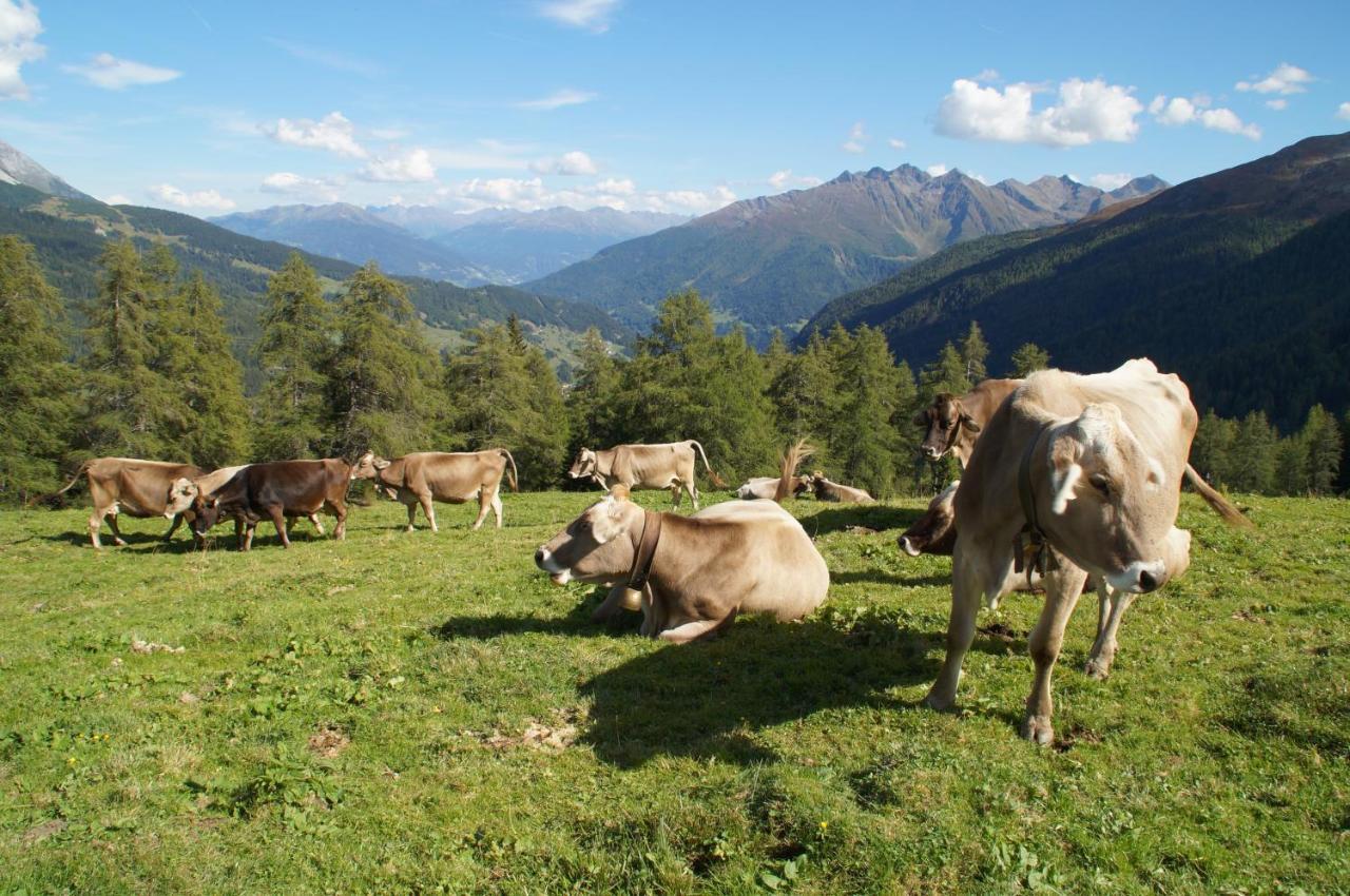 Haus St. Bernard Lejlighed Pettneu am Arlberg Eksteriør billede